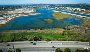 Solar panel project near Los Cerritos Wetlands paused for full environmental review
