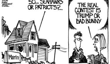 A lot on line this Super Bowl Sunday – Marin Independent Journal