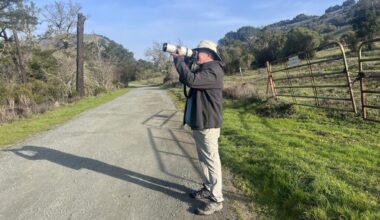 Photographer's work on Oakland hills' area wildlife lift spirits