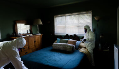 Contributions of California immigrants often go unseen, underappreciated