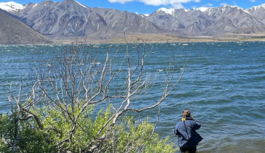 A Maori tribal youth standing in shallow water on the edge of Lake Heron fishing.