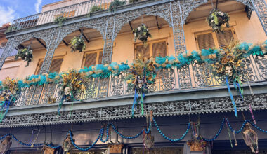 Disneyland Resort Update for February 16, 2026