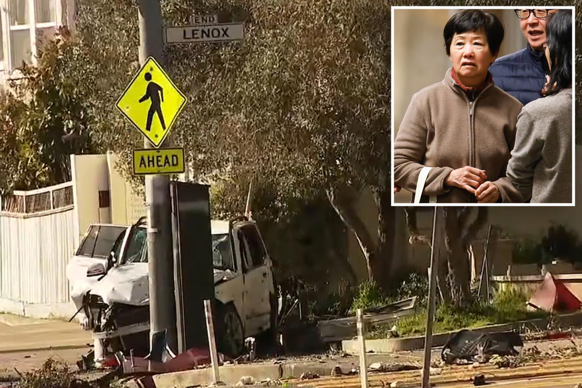 Elderly Calif. woman who fatally ran down family of 4, likely to avoid prison stint