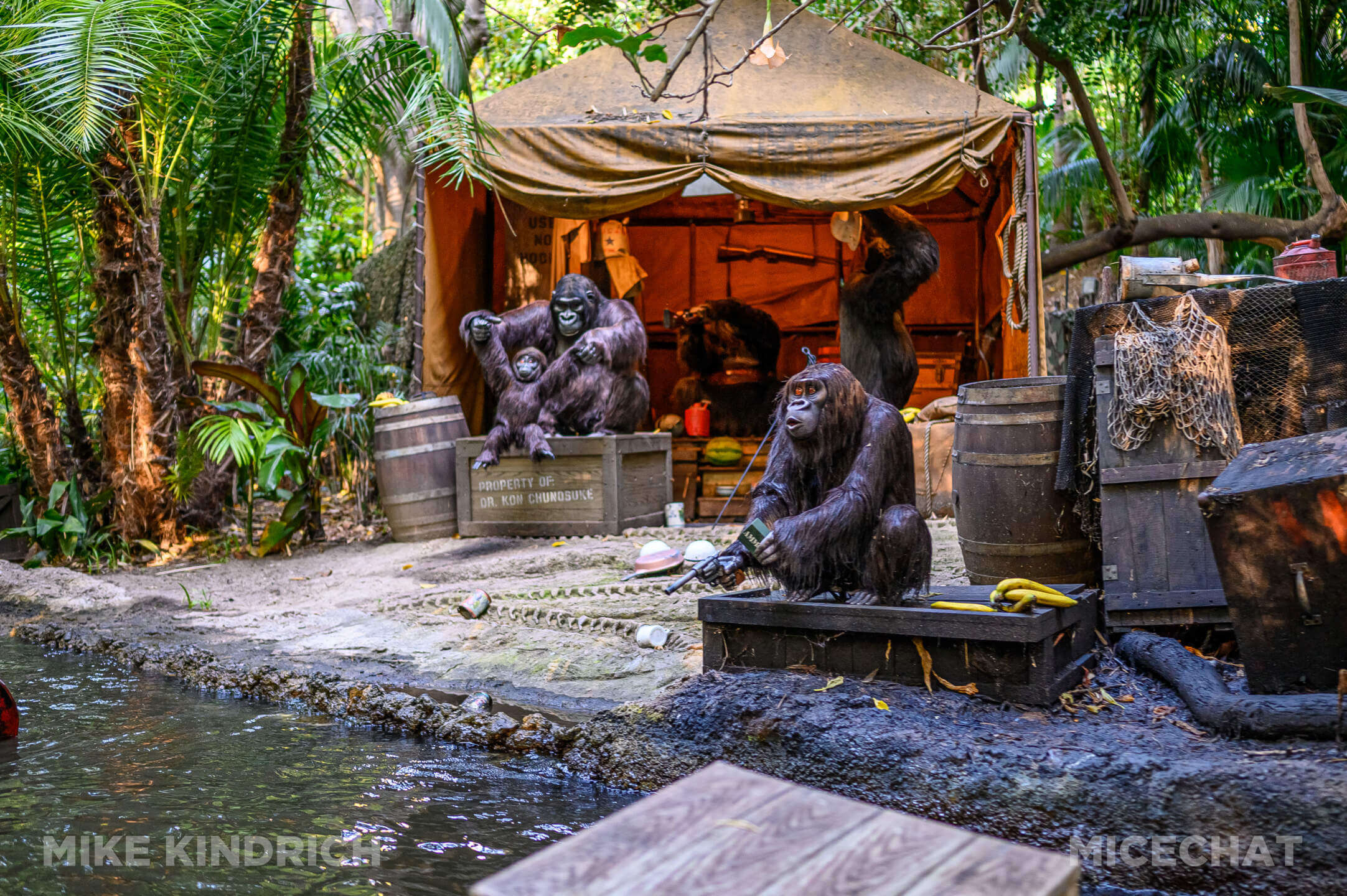 , DISNEYLAND UPDATE: Transport Troubles, 25 Years of Change & After Dark Dates Drop