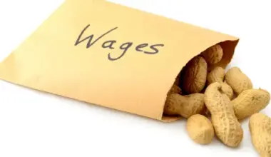 Yellow package labeled "wages" ripped out, spilling out peanuts; California Declines to Pass SB 310 to Recover Unpaid Wages