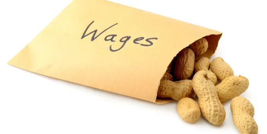 Yellow package labeled "wages" ripped out, spilling out peanuts; California Declines to Pass SB 310 to Recover Unpaid Wages