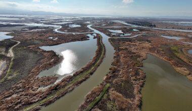 Inside the polarizing plan to stash carbon in a California wetland
