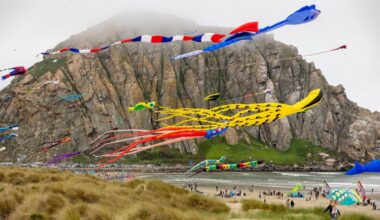 Morro Bay’s free Kite Festival is a breezy bash – NBC 7 San Diego
