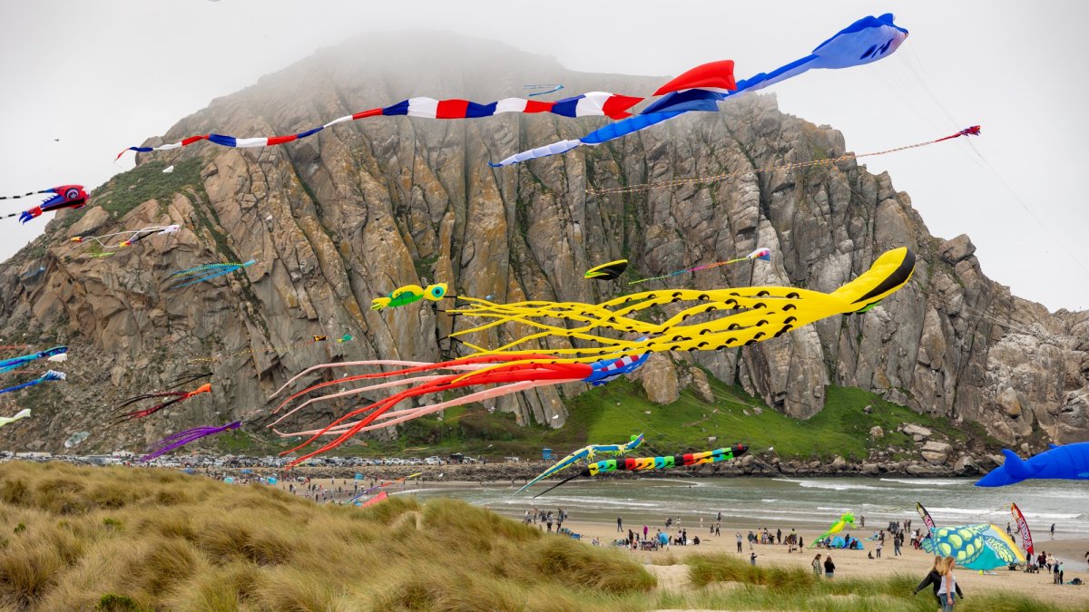 Morro Bay’s free Kite Festival is a breezy bash – NBC 7 San Diego