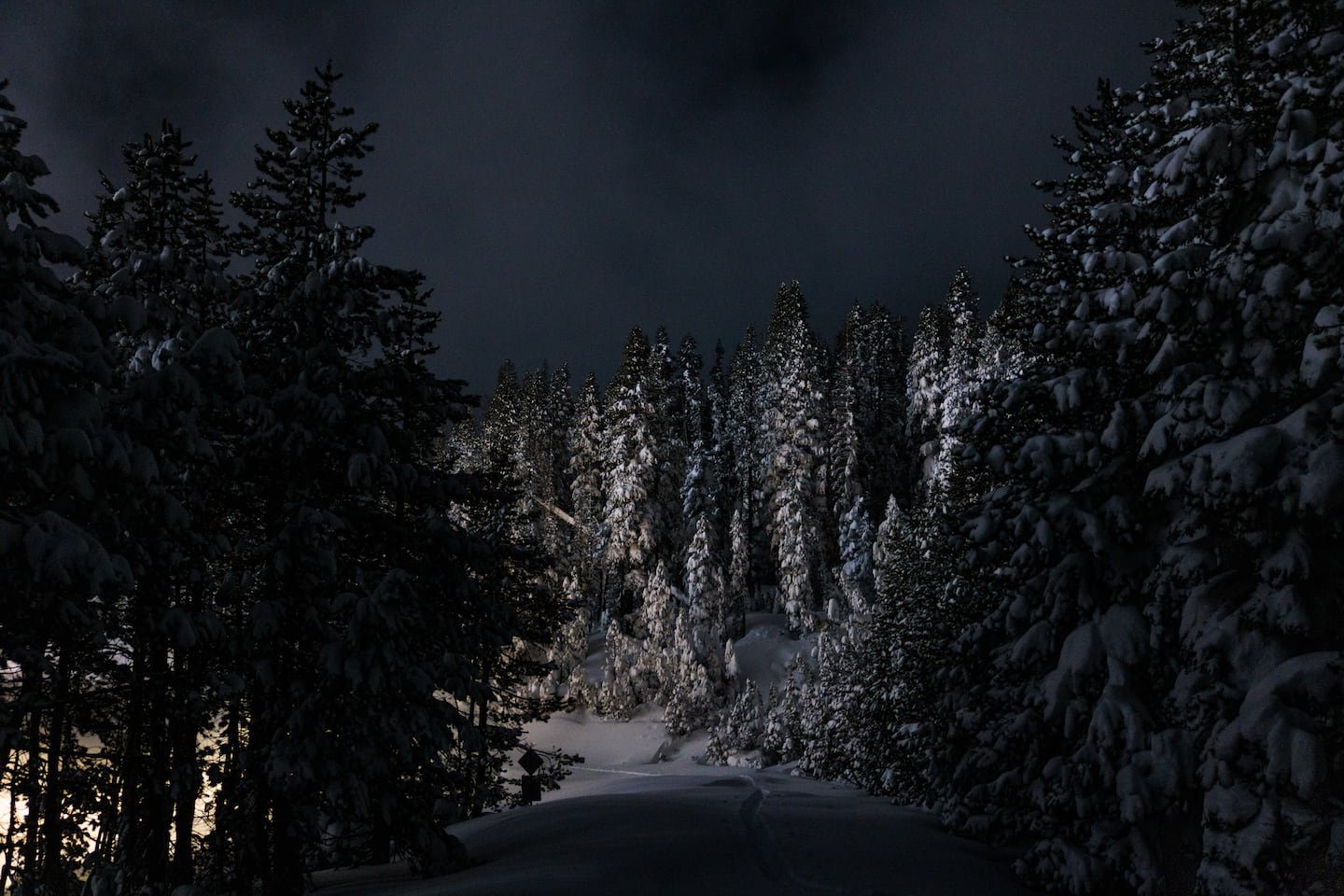 A snow-covered trail leading to Castle Peak, where eight backcountry skiers are confirmed dead from an avalanche, near Soda Springs, Calif., on Feb. 18.