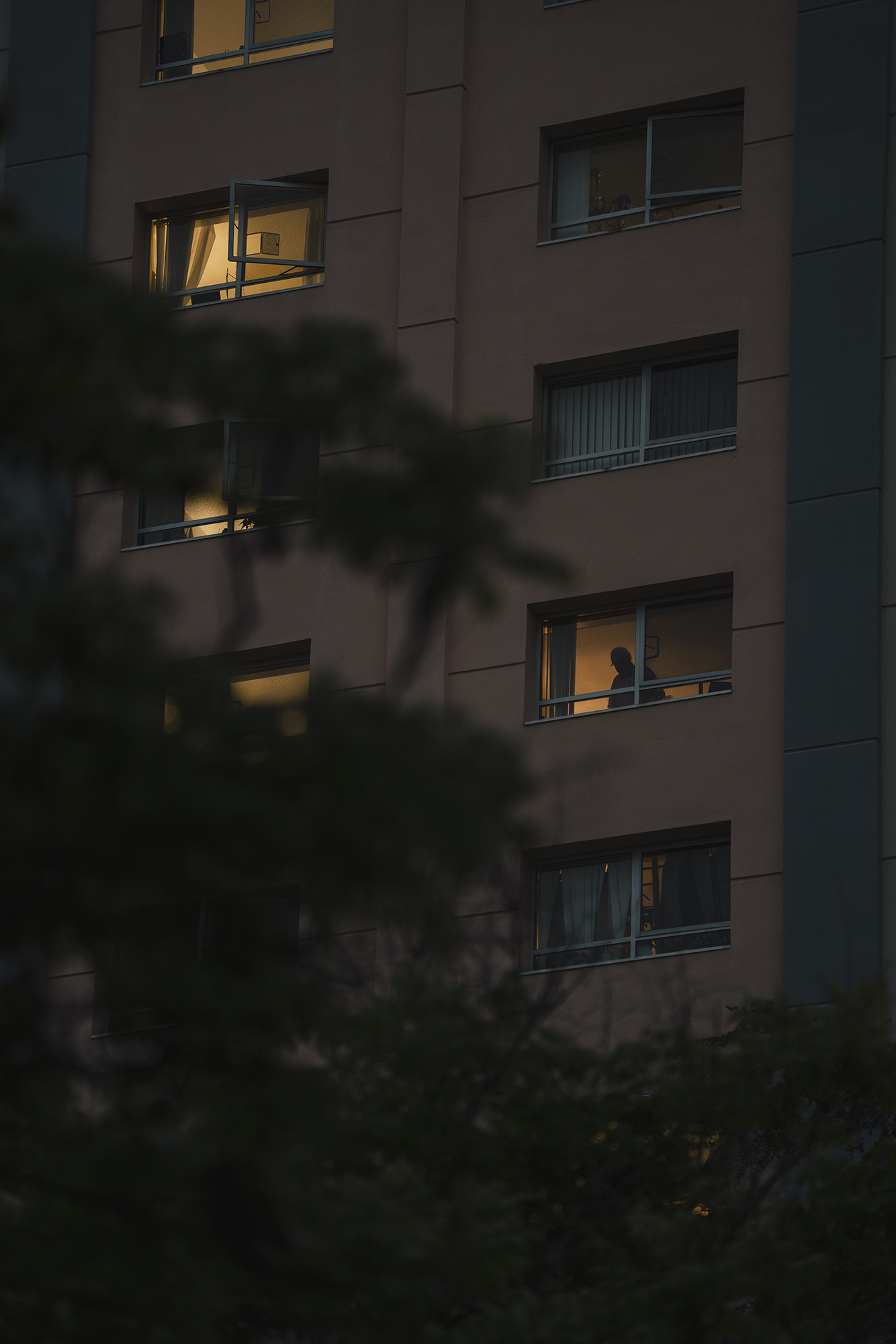 A multi-story building at dusk with several lit windows, some open, and a silhouetted person visible inside one window, partially obscured by tree branches in the foreground.