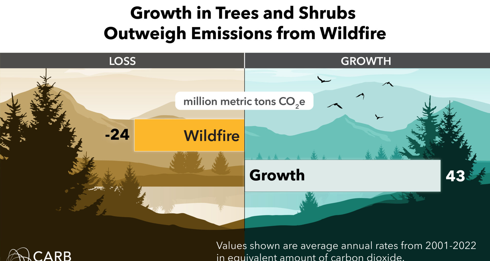 growth in trees and shrubs infographic