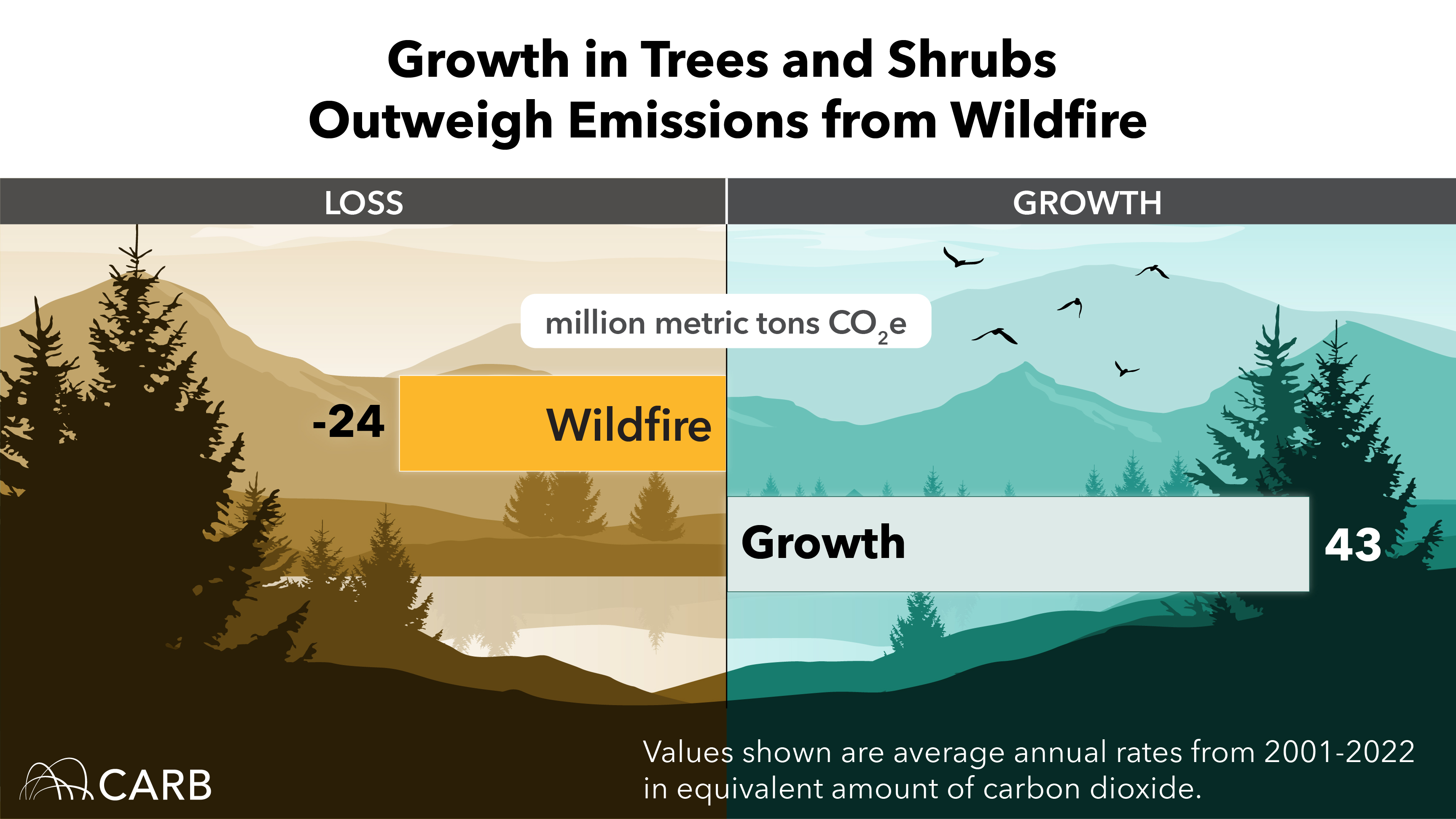 growth in trees and shrubs infographic