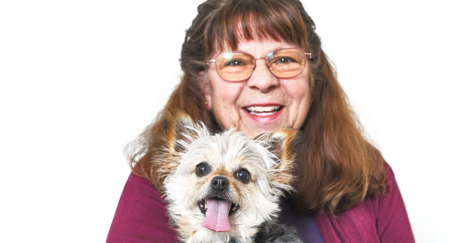 Pets of Orange County: Meet Sheba