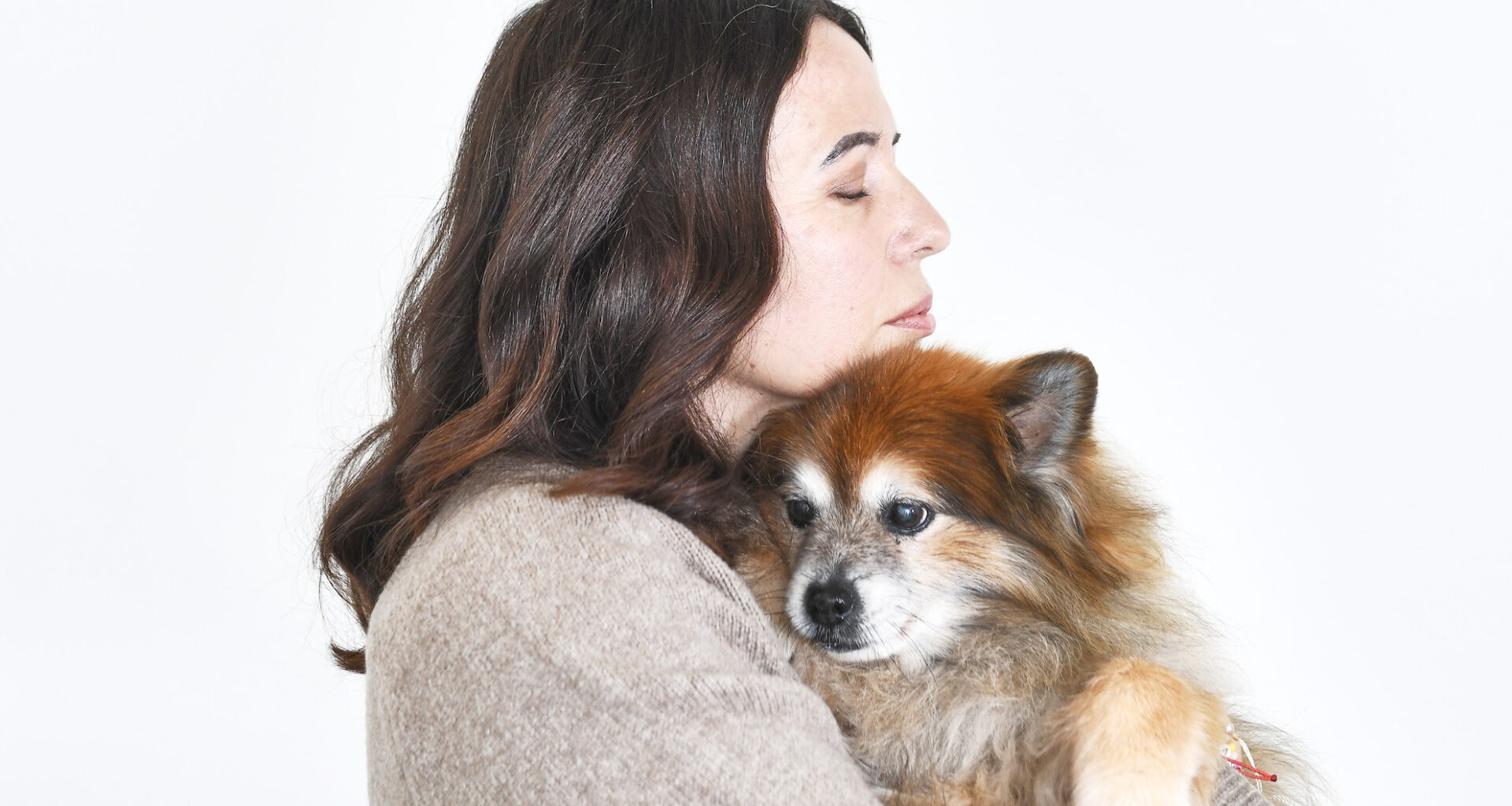 Hershey the Rescue Dog Finds Forever Home in Mission Viejo