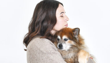 Hershey the Rescue Dog Finds Forever Home in Mission Viejo