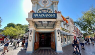 Disneyland tree falls on visitors during a ‘crazy windy’ night – Daily News