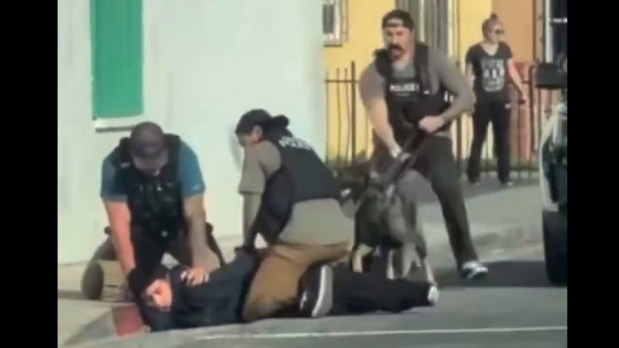 Cellphone video appeared to capture an Anaheim police officer hitting an alleged robbery suspect in the face before taking him into custody at School Street and Cedar Avenue in Lynwood on Friday, Jan. 30. (Photo by X (formerly Twitter) @TheJFreakinC)