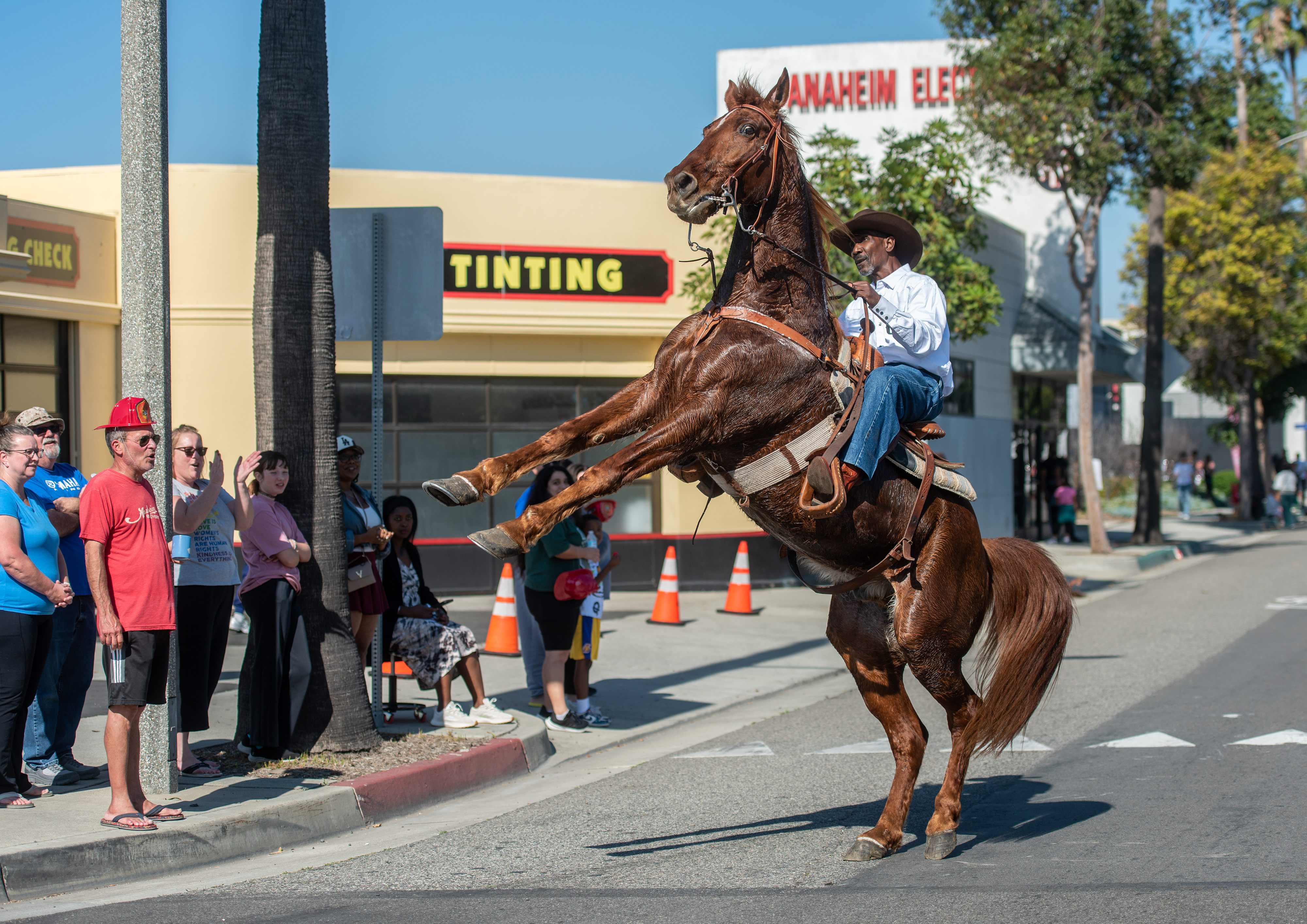 Mike Jones, riding with the group Urban Saddles, does tricks...