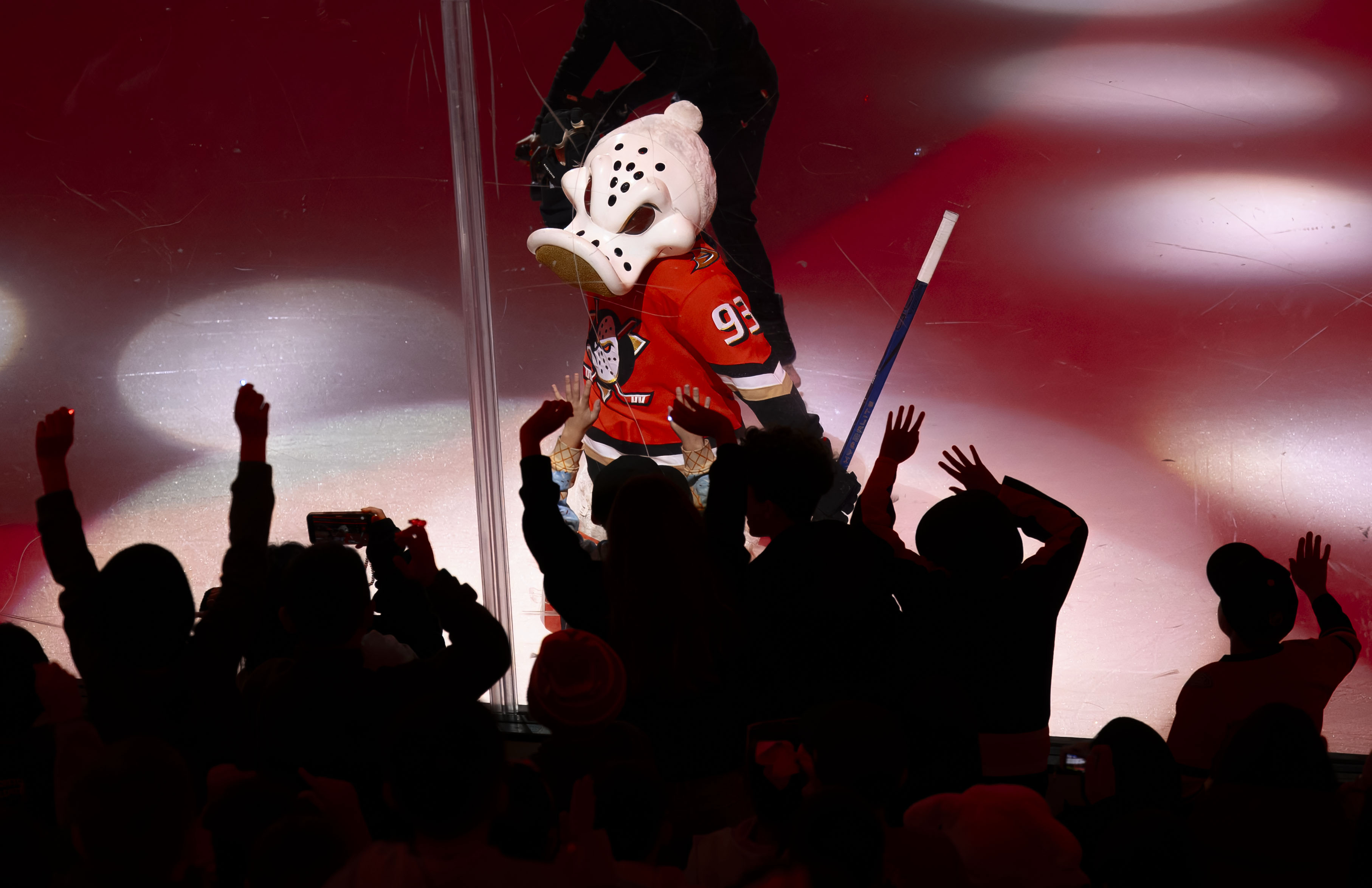 Wild Wings gets the crowd of students excited at the...