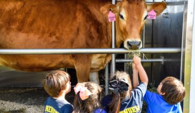 16 free fun things to do in February in Southern California – Daily Breeze