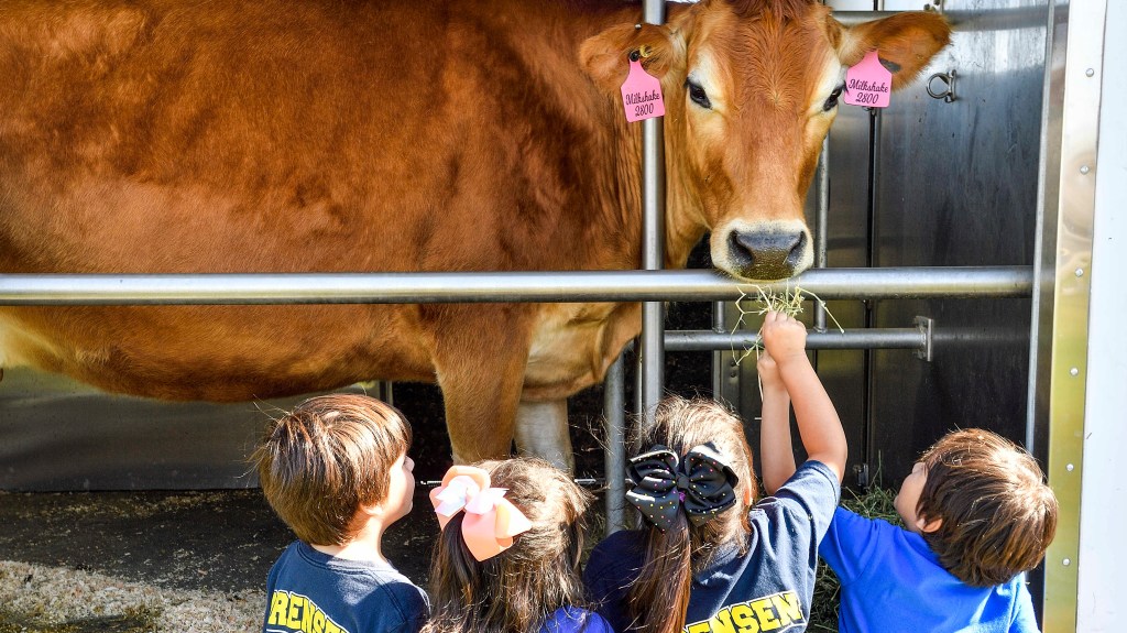 16 free fun things to do in February in Southern California – Daily Breeze