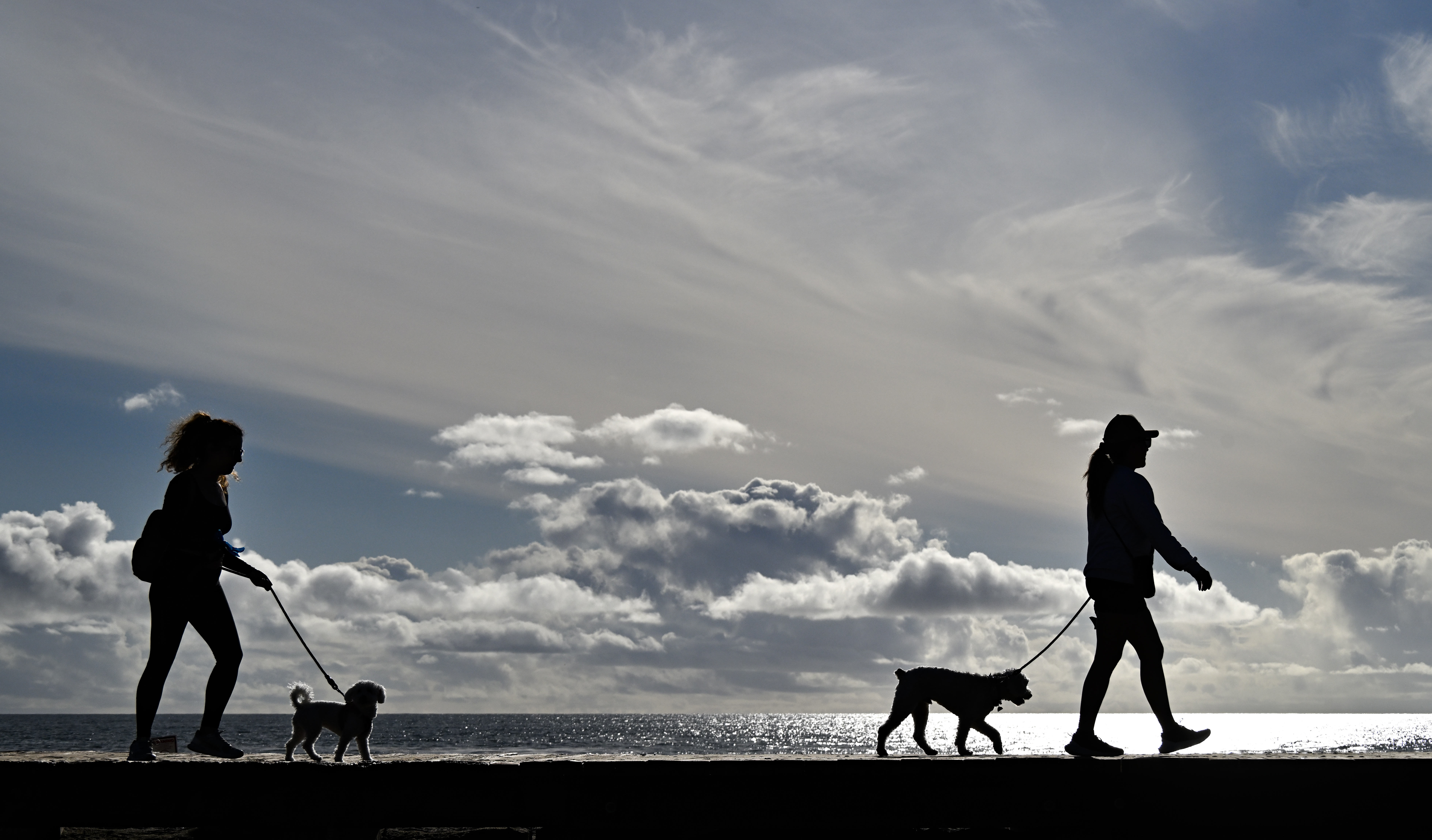 Beach goers walks their dogs along the boardwalk at Main...