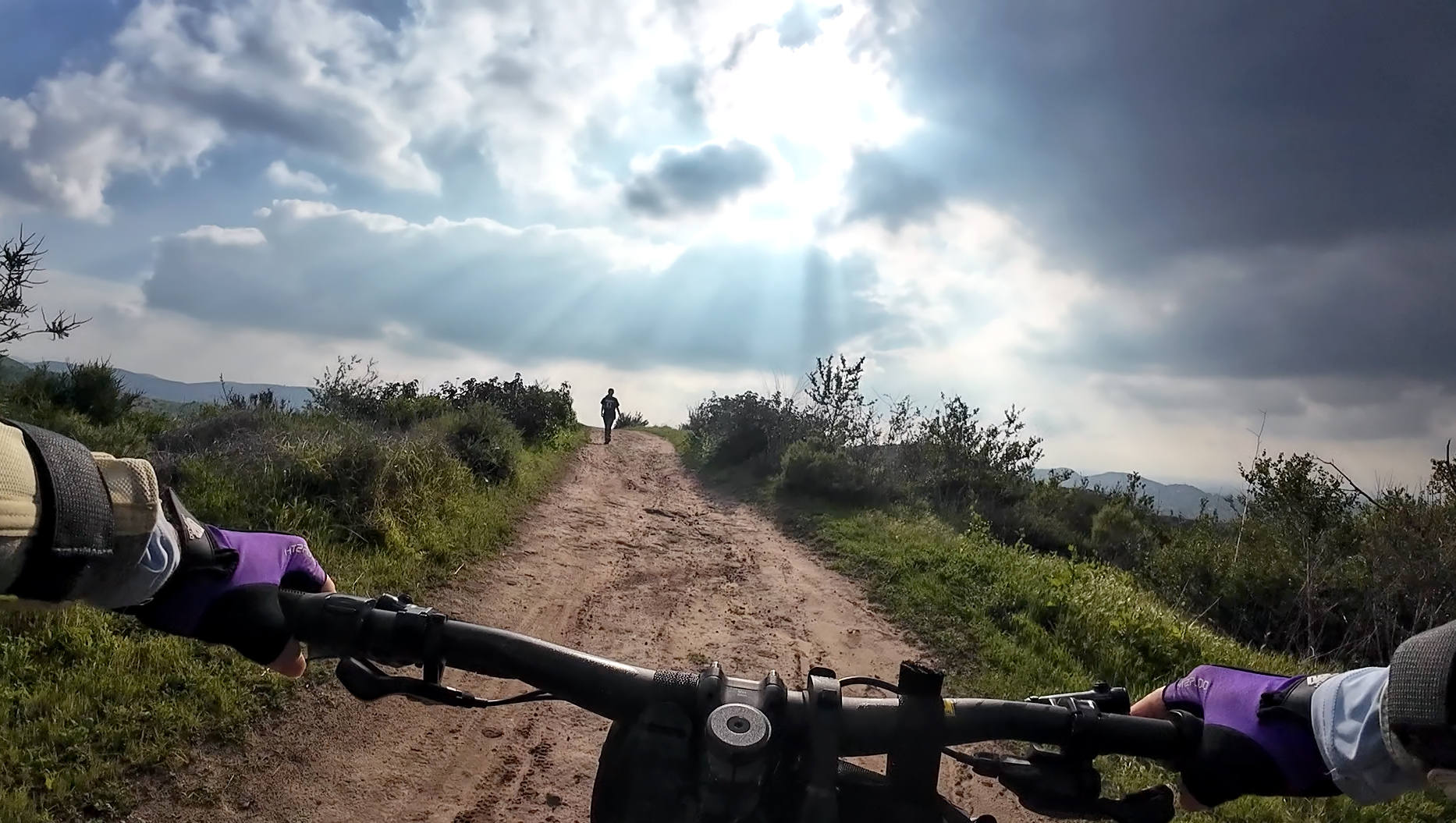 The view from a mountain bike at Santiago Oaks Regional...