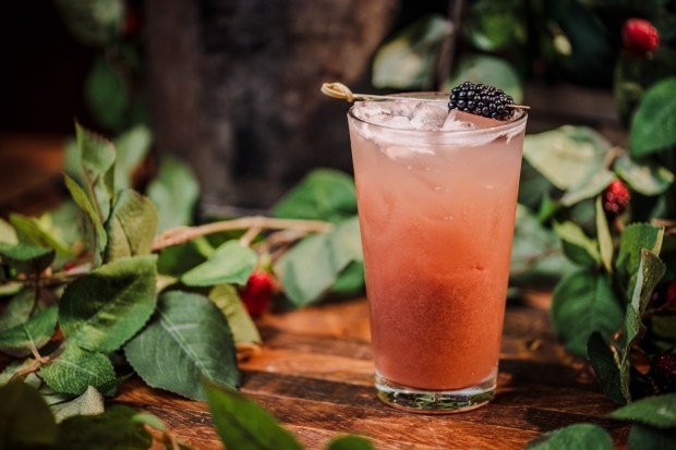 Knott's Boysenberry Festival A La Carte menu items available at Cantina del Sur. (Courtesy of Knott's Berry Farm)