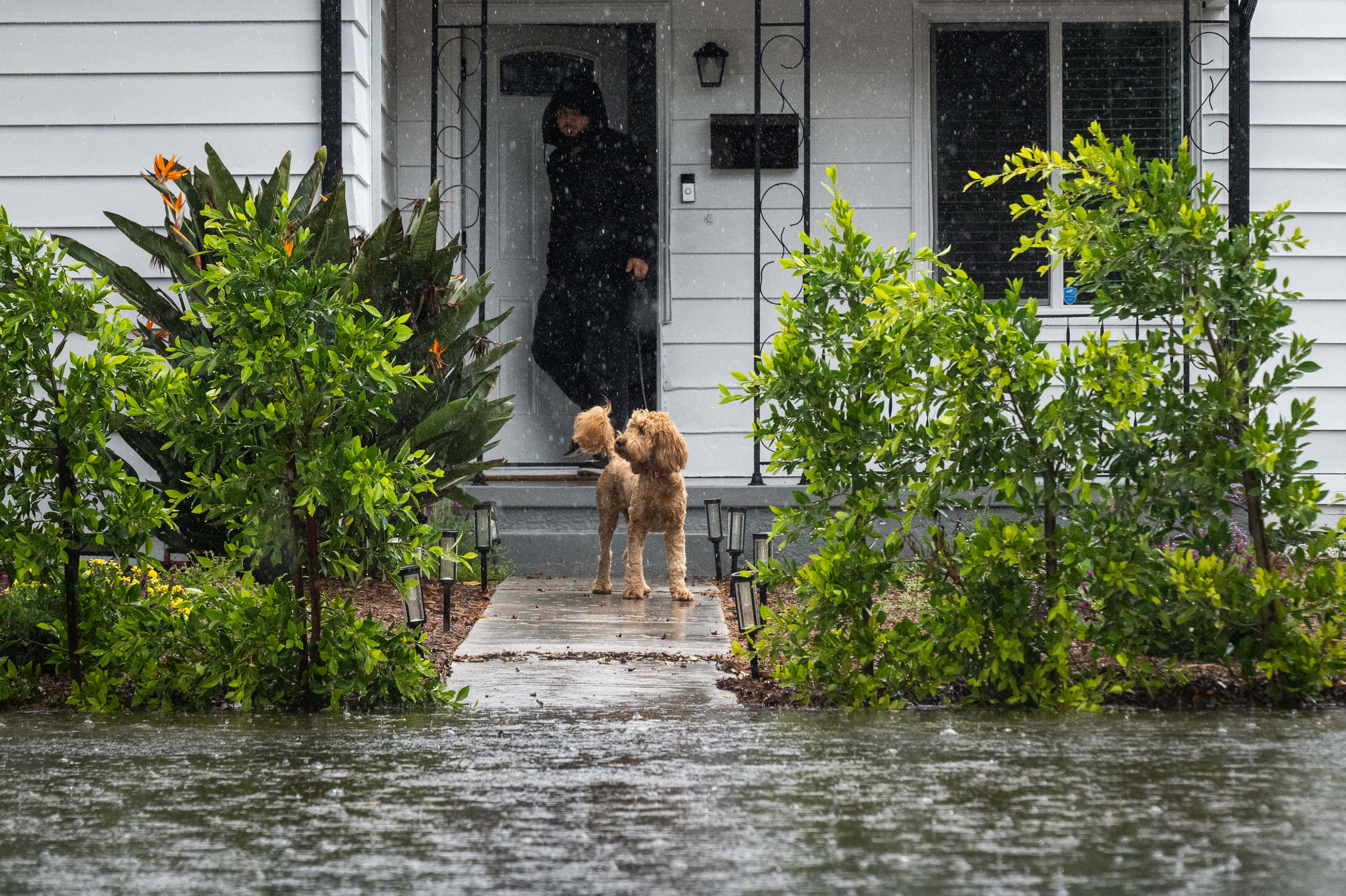 Water rises into the yard of a home along Vanowen...