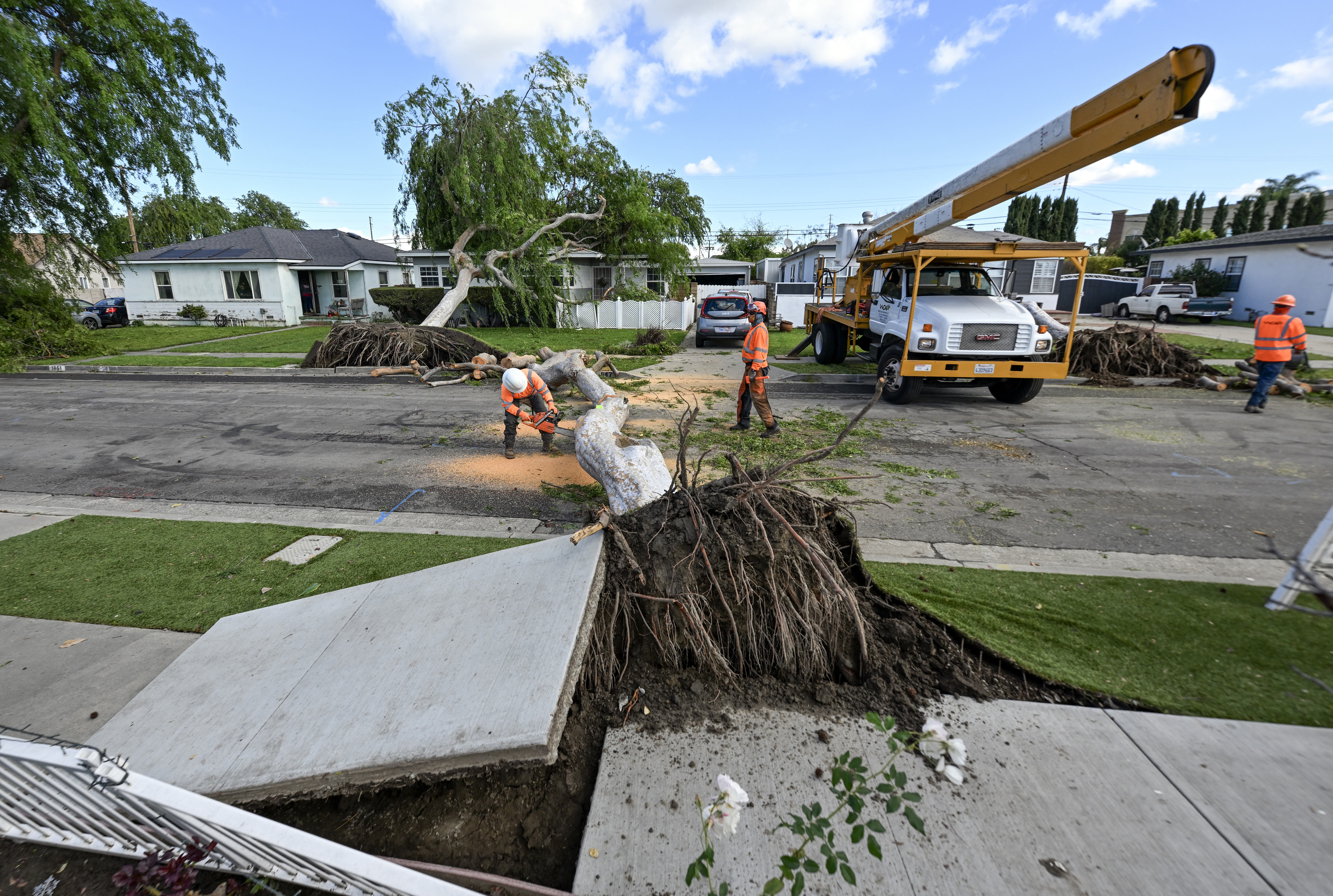 Workers cut up trees that fell during high winds in...