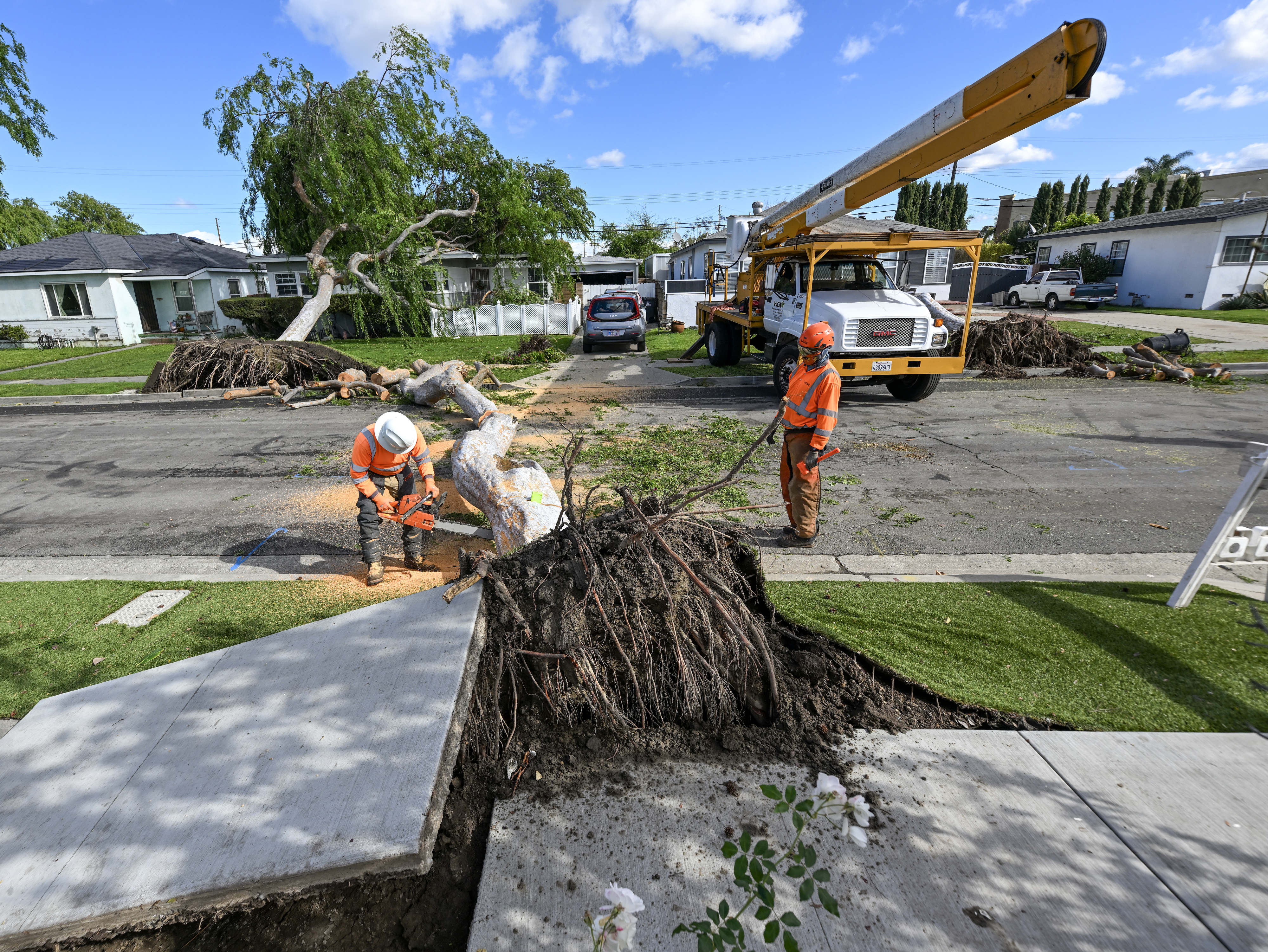 Workers cut up trees that fell during high winds in...