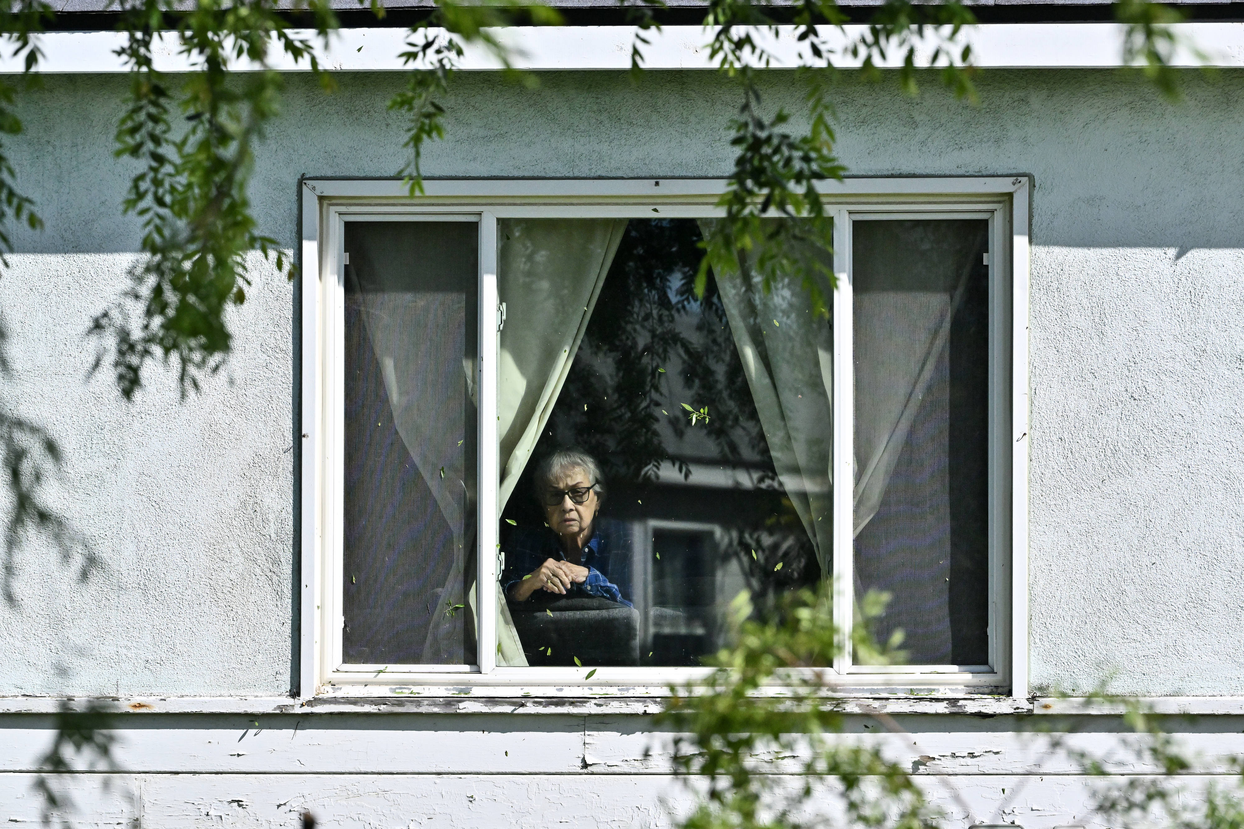 Virginia Nelson watches as workers cut up trees that fell...