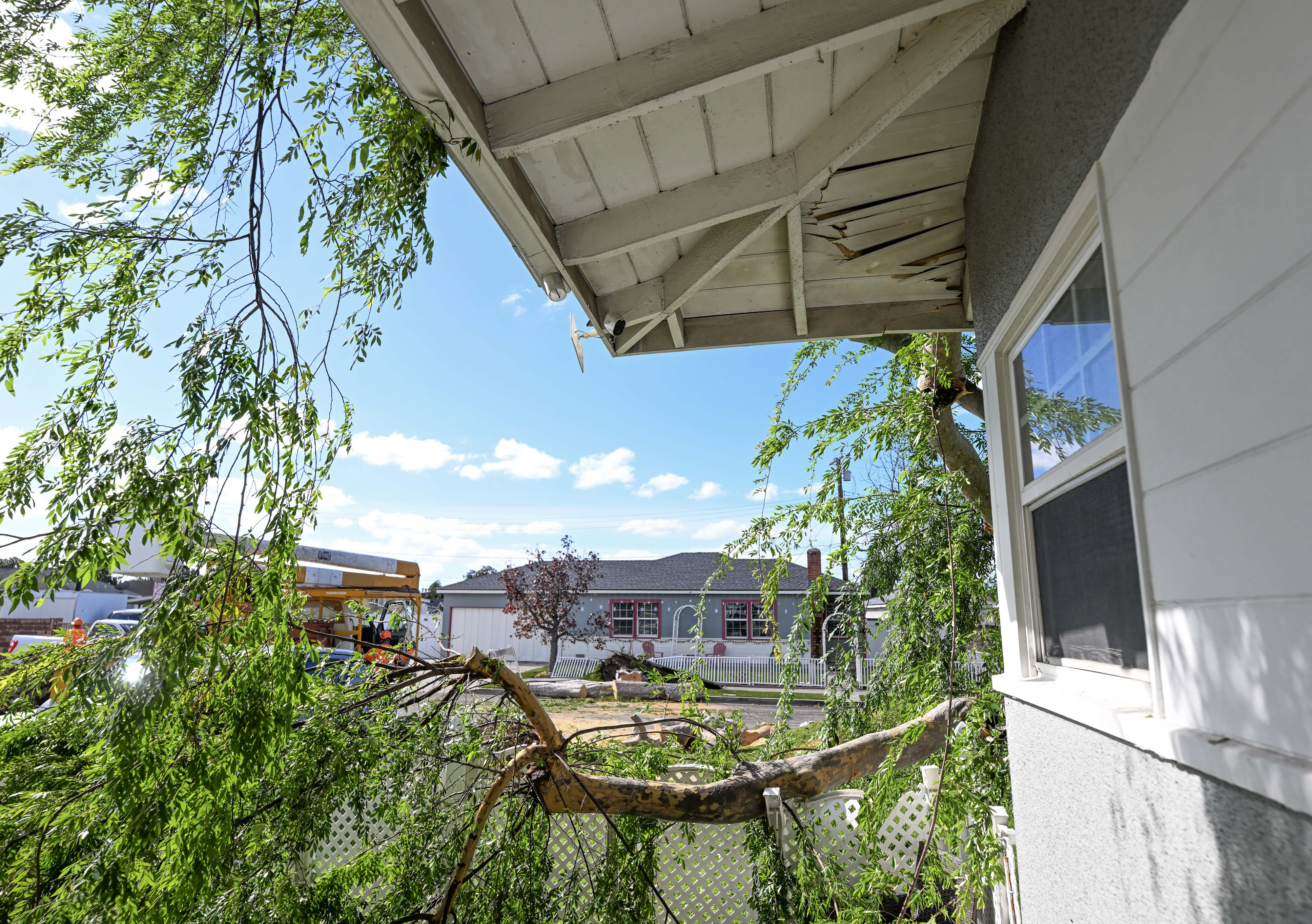 Damage to Vicky Aguilarâs home from a tree that fell...