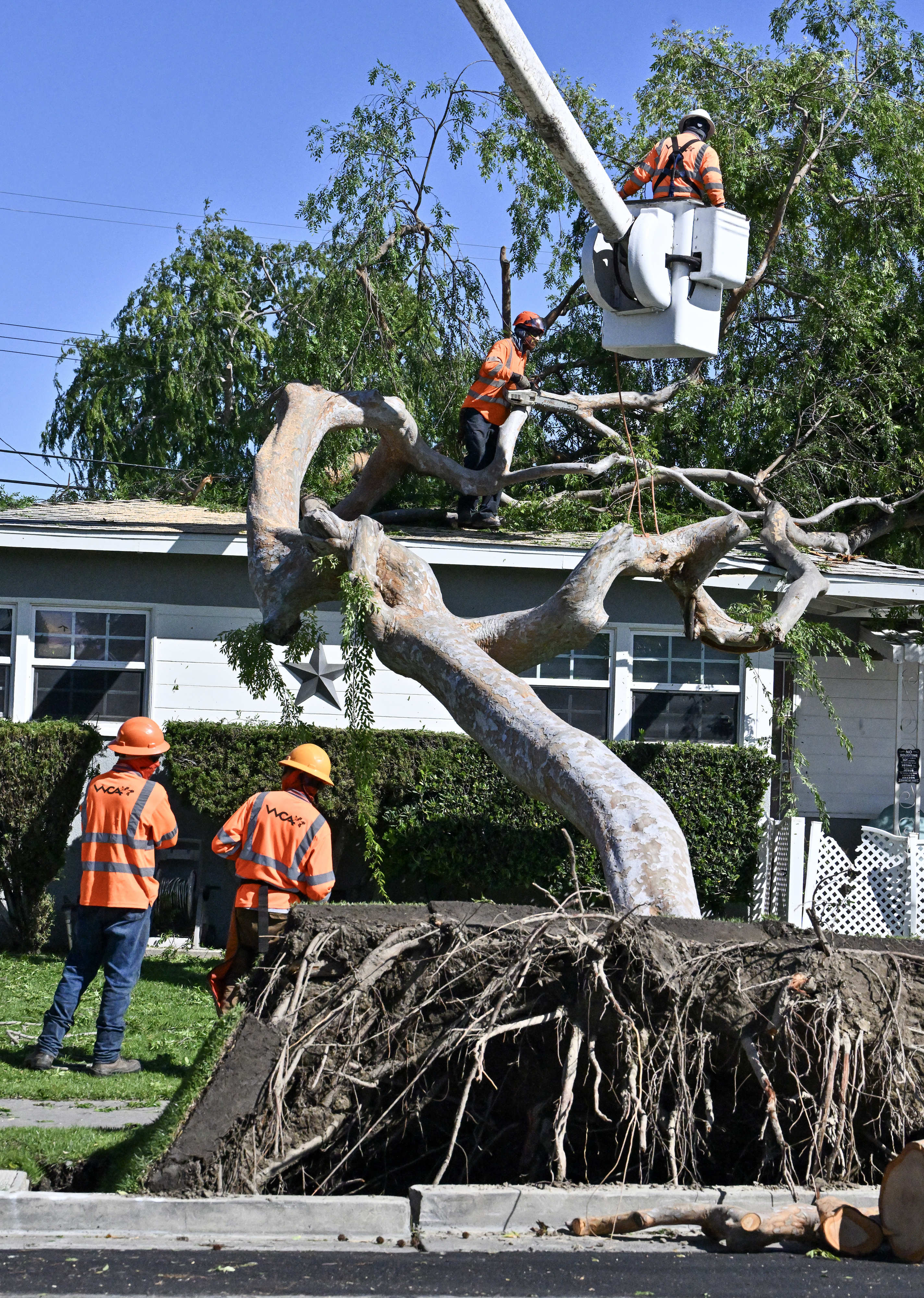 Workers cut up trees that fell during high winds in...
