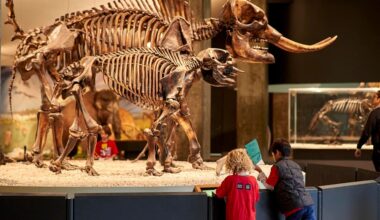 Museums' free-for-all returns Feb. 22 with free admission across Southern California