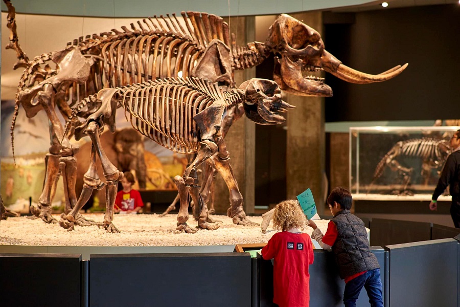 Museums' free-for-all returns Feb. 22 with free admission across Southern California