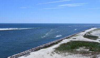 Dead 50-foot whale washes ashore at Jersey Shore beach, officials say