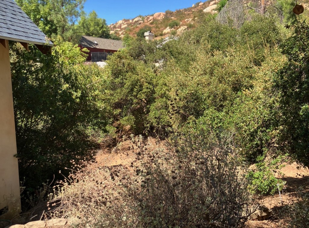 Parts of Ramona can get free chipping service after fire-safety vegetation clearing – San Diego Union-Tribune