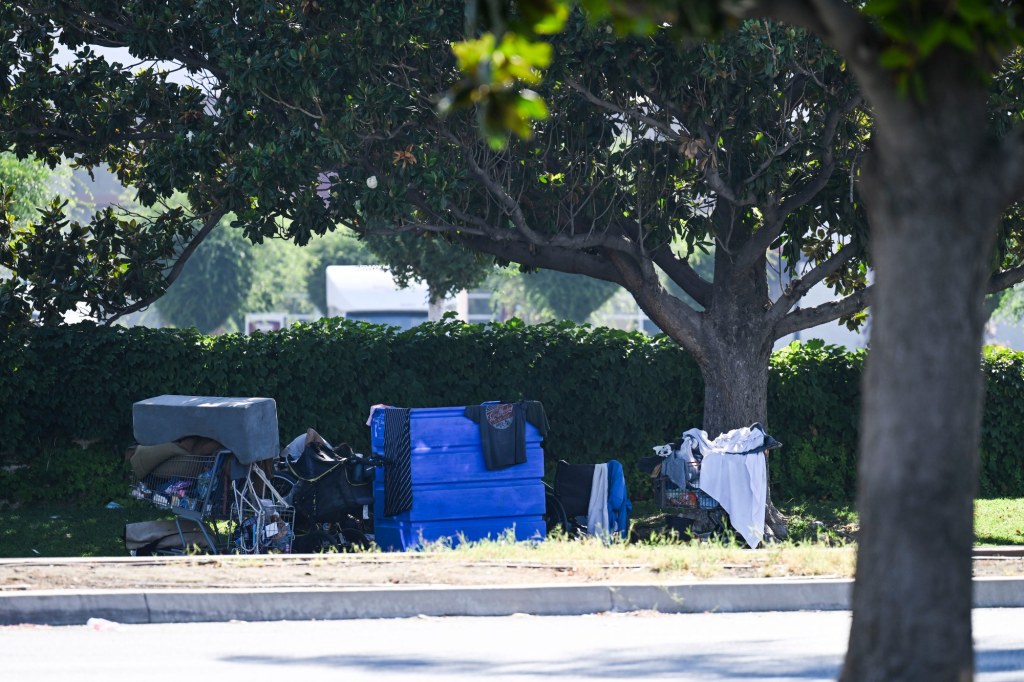 Judge rules LA liable for property confiscated from the homeless – Daily Breeze