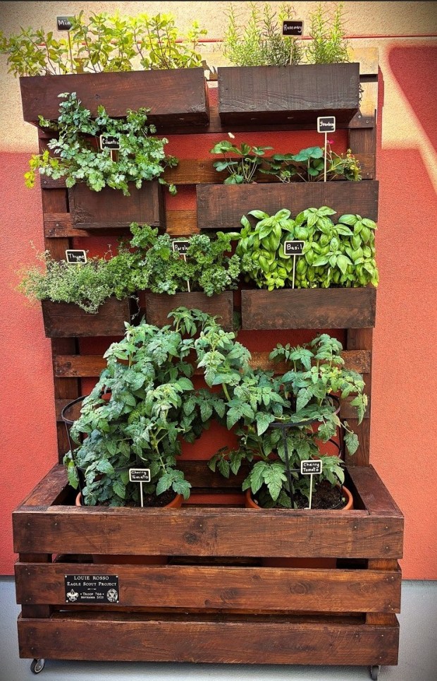 The urban garden planter is ideal for growing herbs, vegetables, and fruits. (BSALeader)