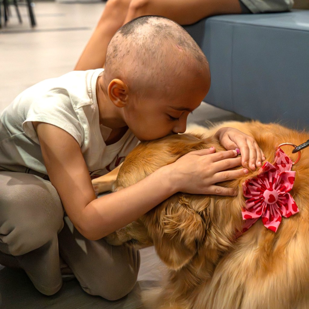 Helen Woodward Animal Center’s Pet Encounter Therapy pets spread Valentine love to families at San Diego Ronald McDonald House