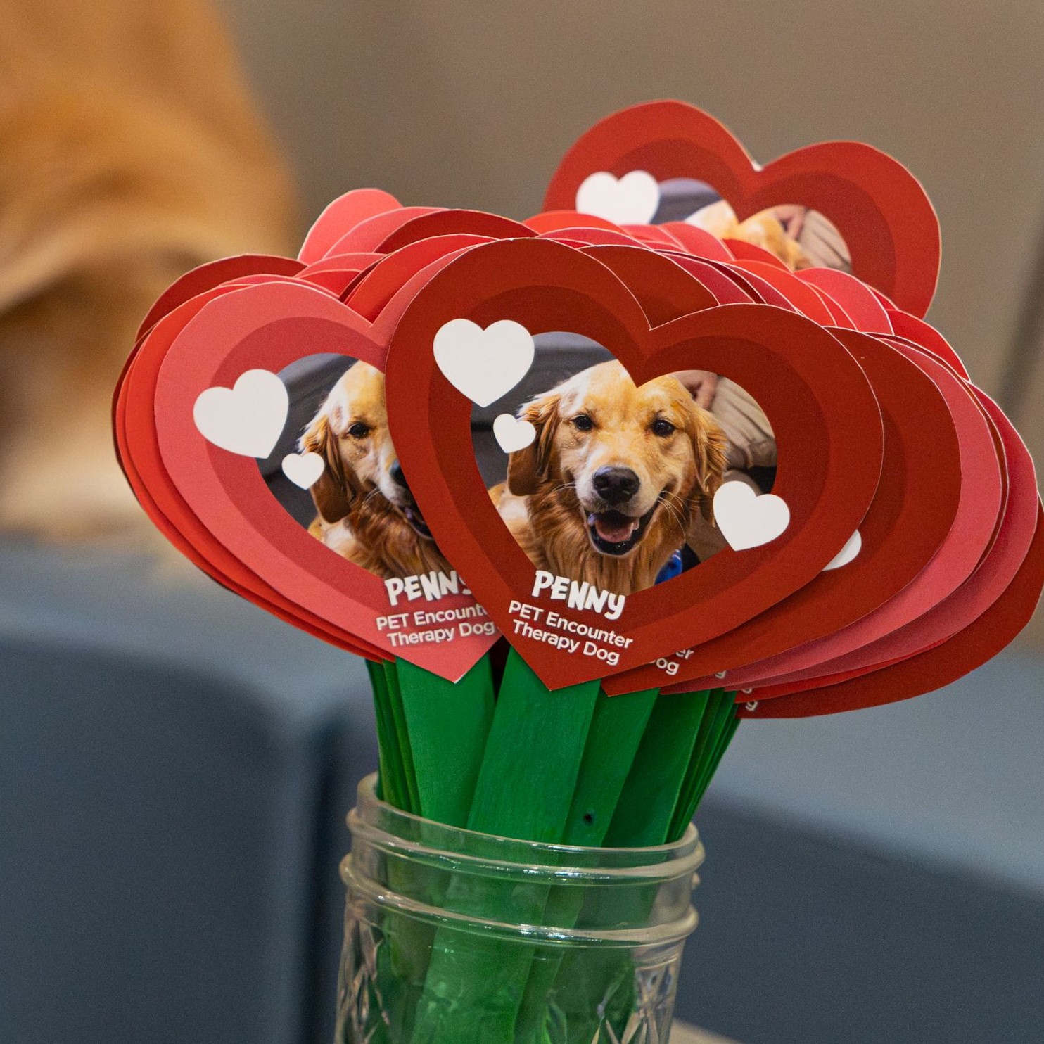 San Diego Ronald McDonald House families met Helen Woodward Animal...