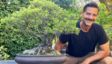 How Ancient Trees Are Teaching Los Angeles to Slow Down – Pasadena Weekendr