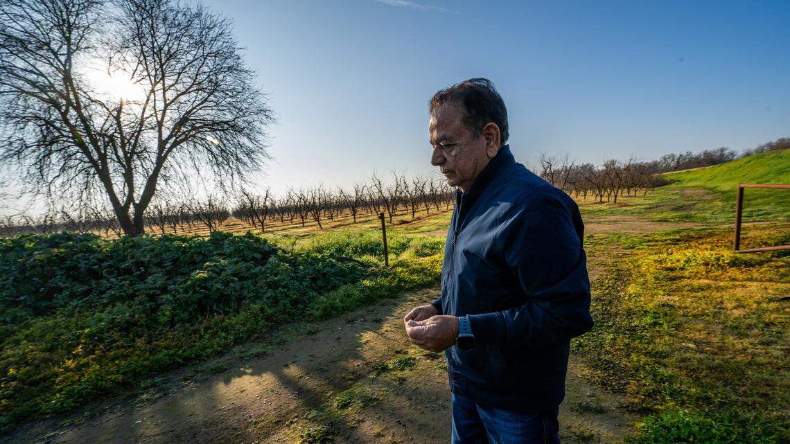 Del Monte bankruptcy leaves Central Valley peach growers reeling