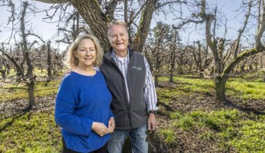 Imported pears threaten California’s Delta pear orchards
