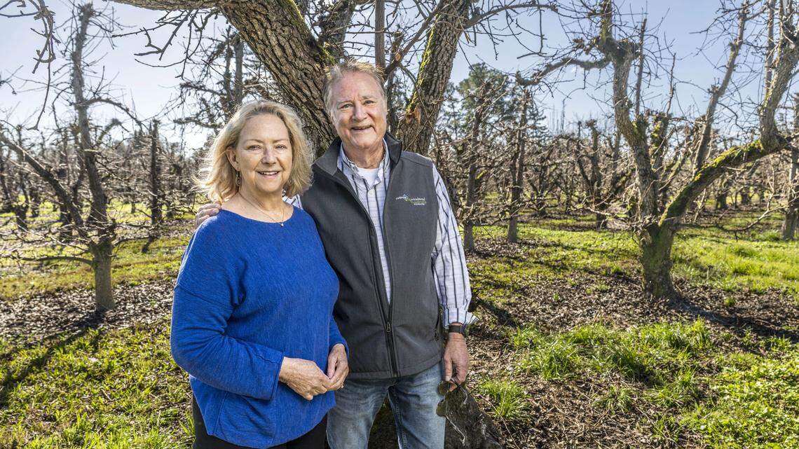 Imported pears threaten California’s Delta pear orchards