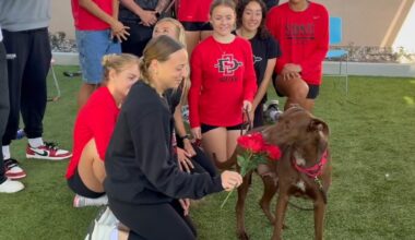SDSU student-athletes volunteer at SD Humane Society for Valentine’s Day – NBC 7 San Diego