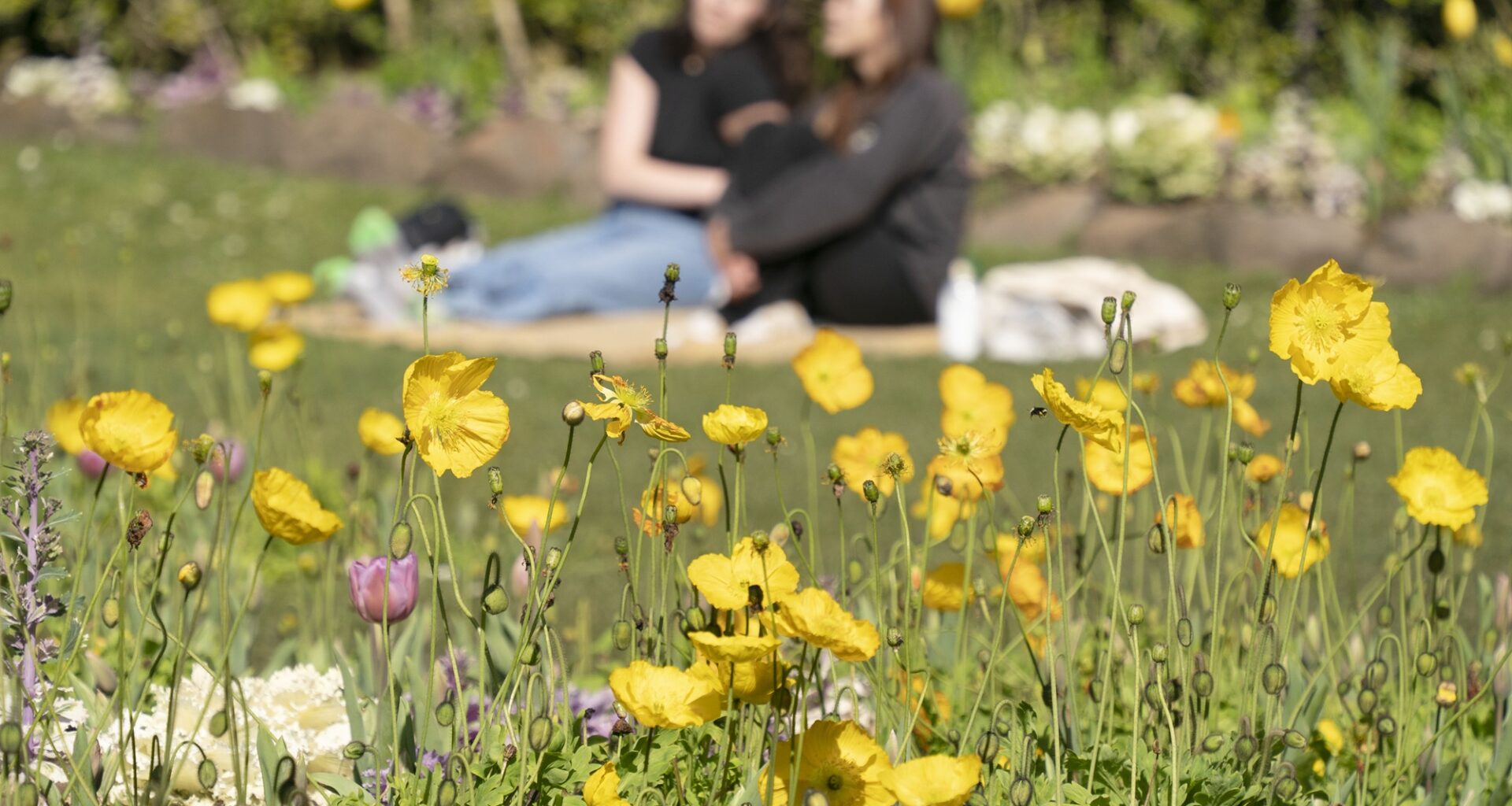 Winter Has Nothing on the Bay Area, With Temperatures Soaring