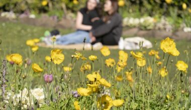 Winter Has Nothing on the Bay Area, With Temperatures Soaring